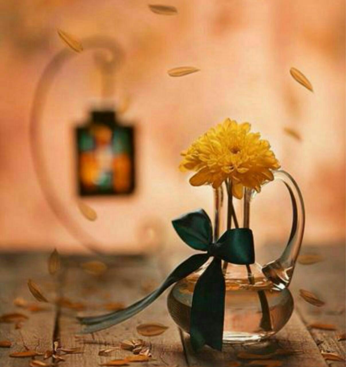علی رضایی