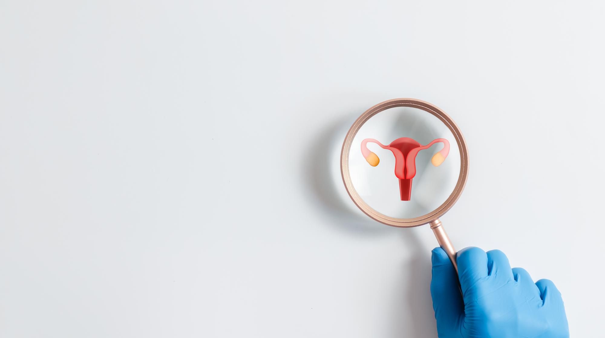 doctor-hand-holding-magnifying-glass-focus-uterus-reproductive-system-white-background-diagnosis-prevention-diseases-female-reproductive-organs_562687-6975 (1).jpg