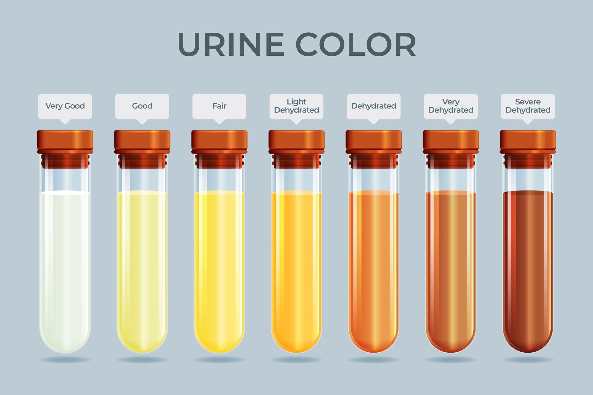 gradient-urine-color-infographic_23-2150137425.jpg