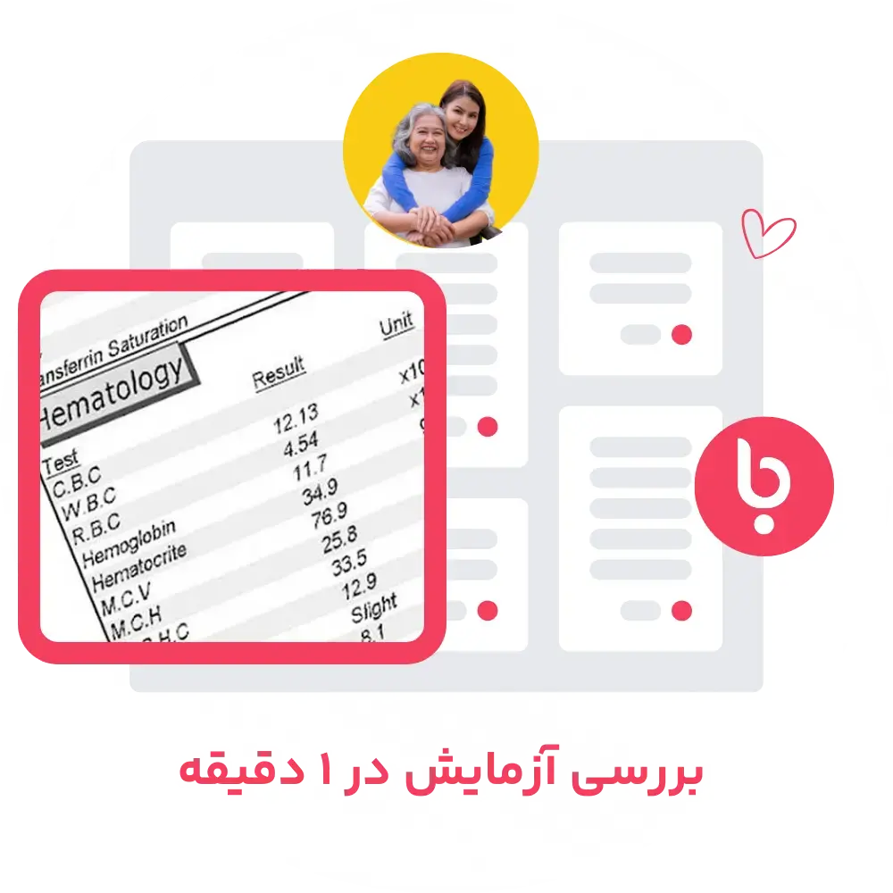 interpretation(1).webp